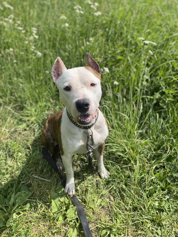 250932EE-6EBF-4E37-8B48-670E841E7525