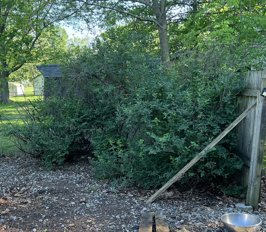 4C4B62E2-05E7-4541-8A28-B7D1E128616F