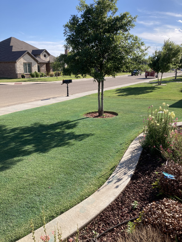 6AB16DB9-85A2-45AA-878A-037DCCFB9891