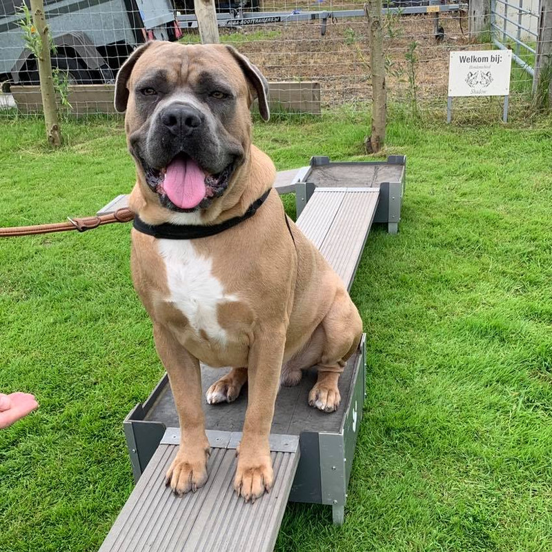 217683775_2674998116126782_133778466446503100_n