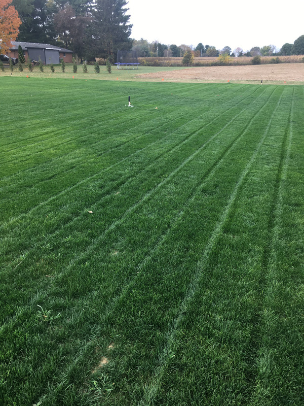 41947B75-E2EC-4333-A8C3-AE0FF21A87DC