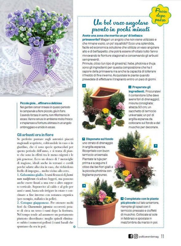 Pol Ver Feb 2024 (2)