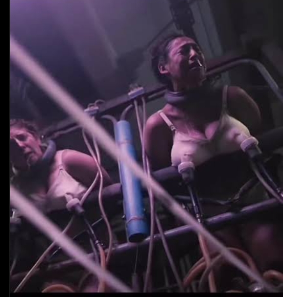 Screenshot of Grotesquerie  Season 1 Complete (2024) &bull; English on MovieLinkBD