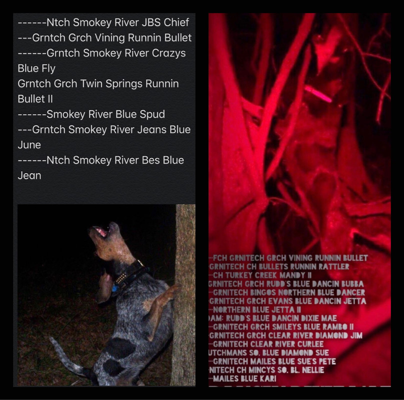 FCBC939B-1086-43D6-9B6A-B149678E688D