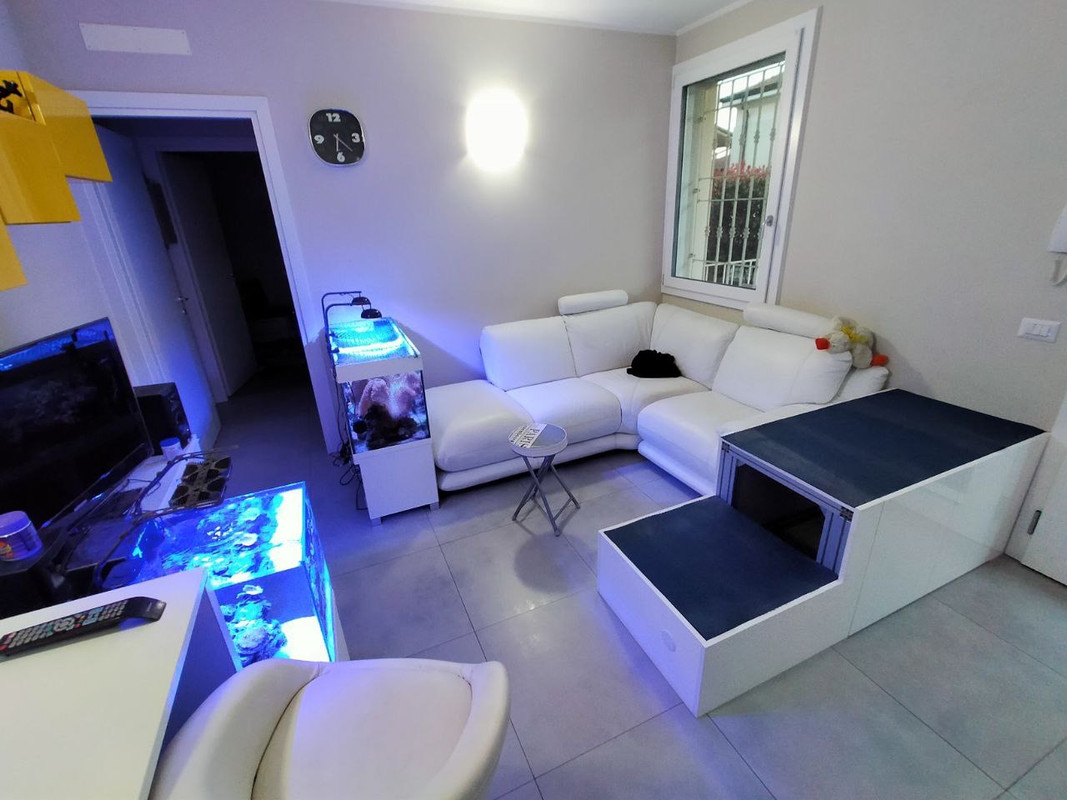 F541ADF2-176C-4CE1-8CE3-C99974A4C708