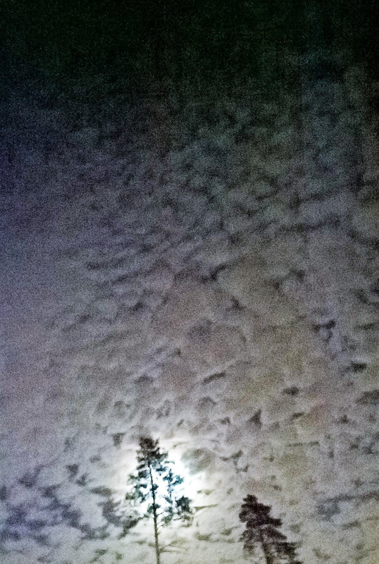 WP_20190219_20_15_38_Rich (2)