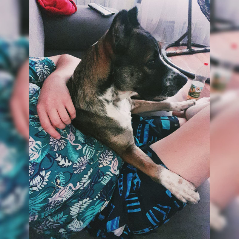 6B19F81A-7429-40BB-8503-85BFF7DE6F68