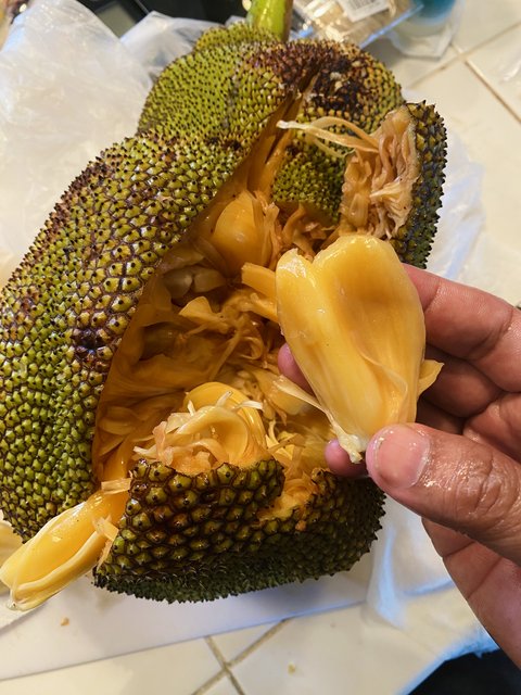 7A33EC2E-4288-4CE1-B6E7-FAD15AC5F066