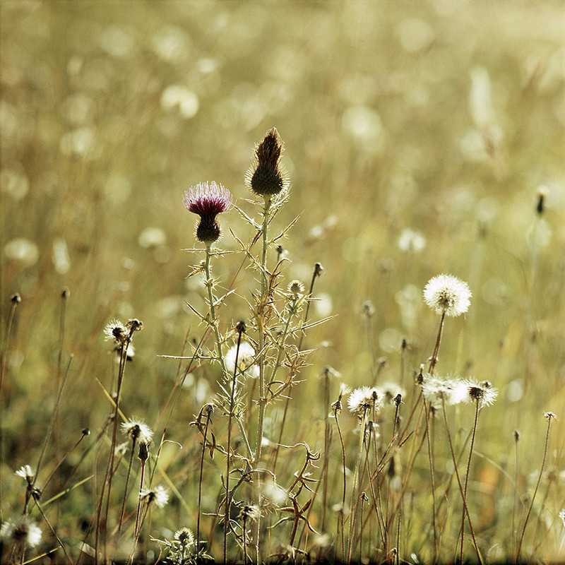 Reportage-849.1.1... (1024)