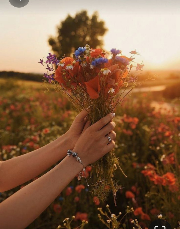 Screenshot_20230611_230348_Pinterest