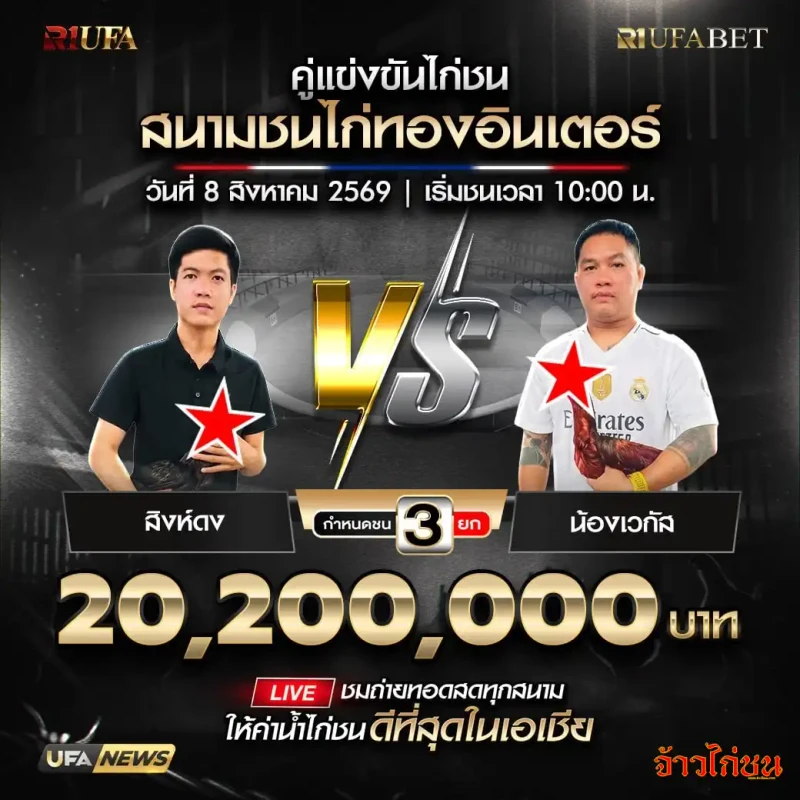 โปรแกรมไก่ชน สนามชนไก่ทองอินเตอร์ 8 สิงหาคม 2569 สิงห์ดง พบ น้องเวกัส