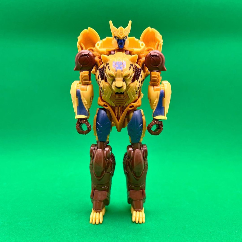 02-ROTB-Cheetor