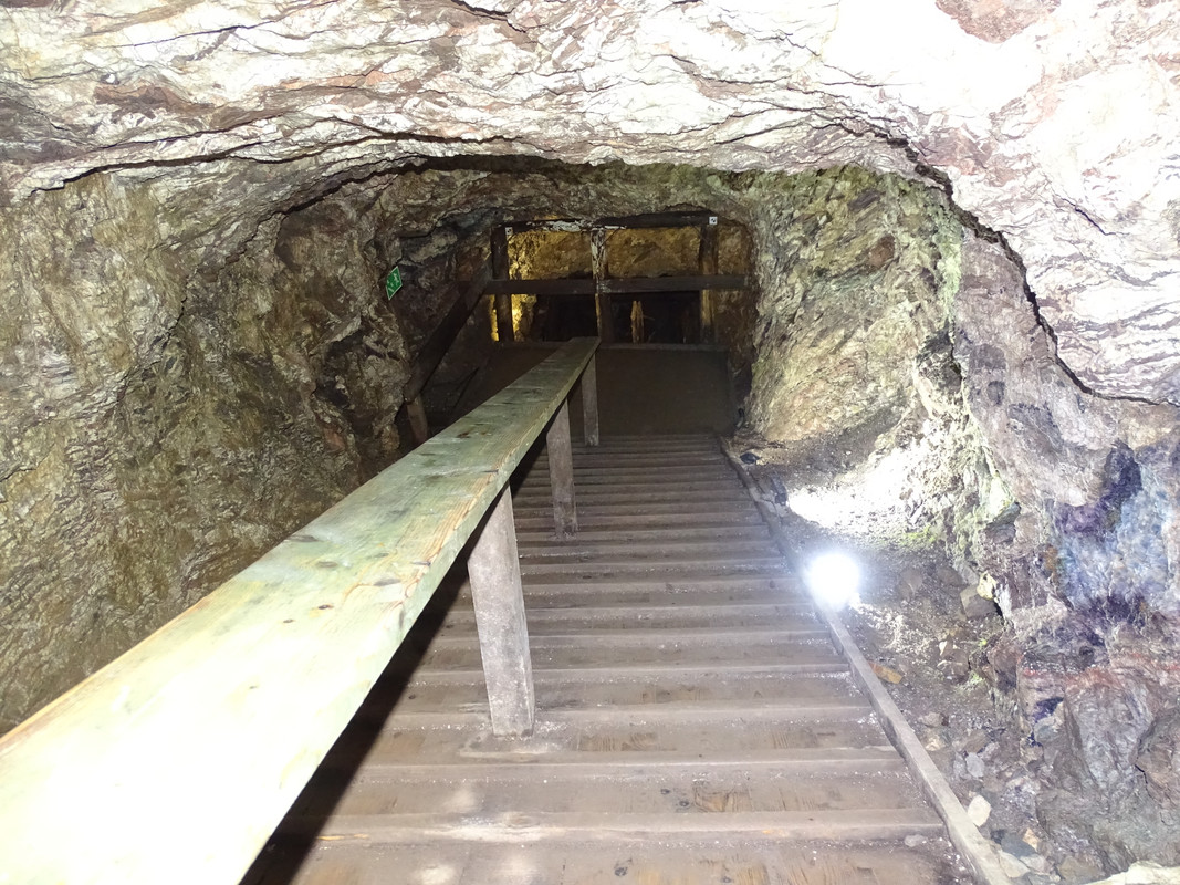 15.19 - DSC01819 (irycki)