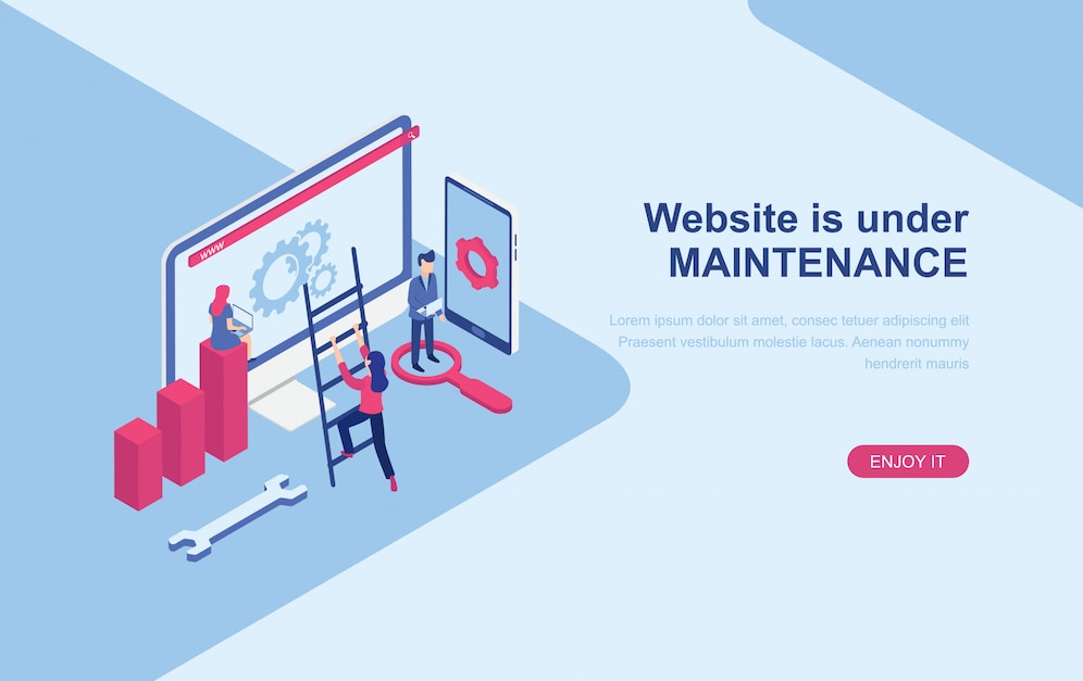 Essential Website Maintenance Packages for WordPress Sites