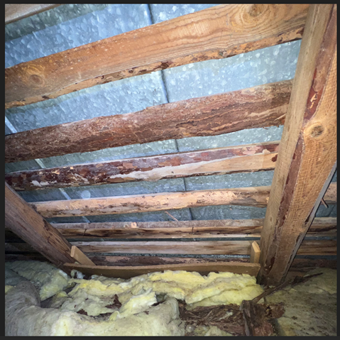 Näyttökuva 2025-03-24 182807