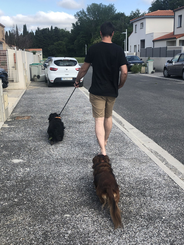 [Image: D345-A978-D2-A9-48-F0-9-F27-BC5-AACEB3-A37.jpg]