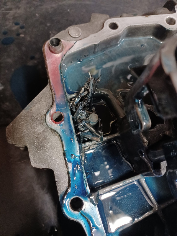 EA004497-81F0-4173-A5EA-AEA1F4EB8E6D