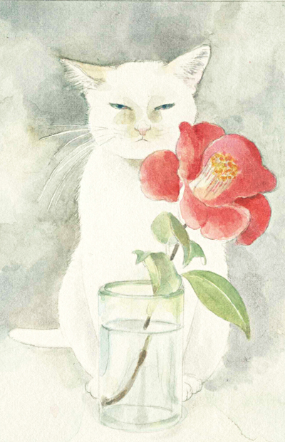 1-Midori-Yamada25-White-cat-and-red-flower