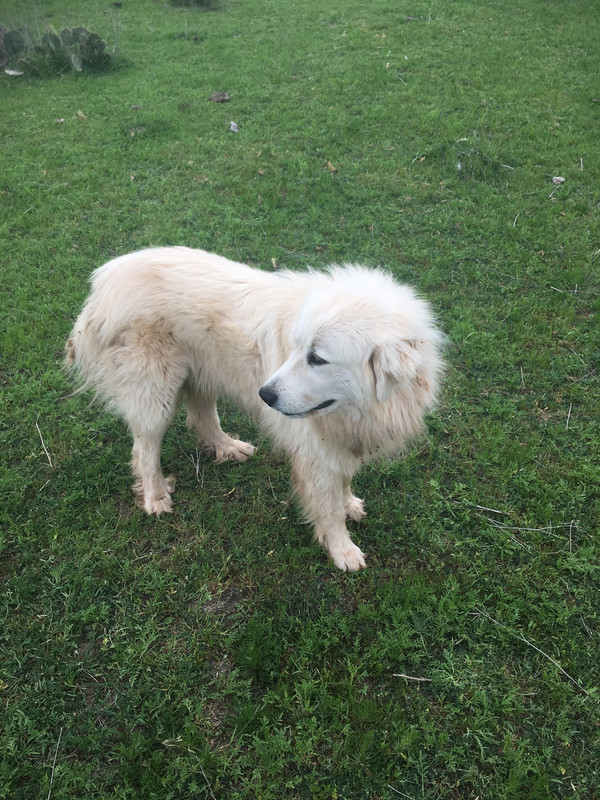 8D60DD49-53D4-42C1-81C6-4EECA2576C58