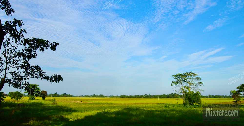 BBG&B20KazirangaAndMajuli - 1