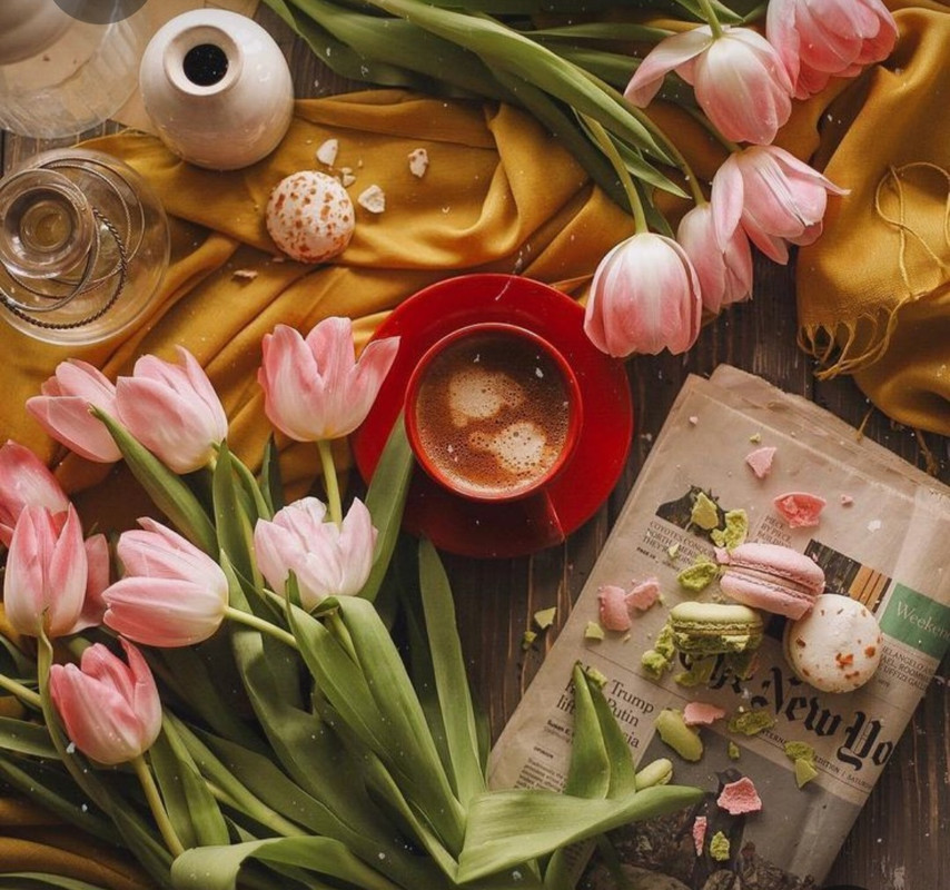 Screenshot_20230330_003626_Pinterest