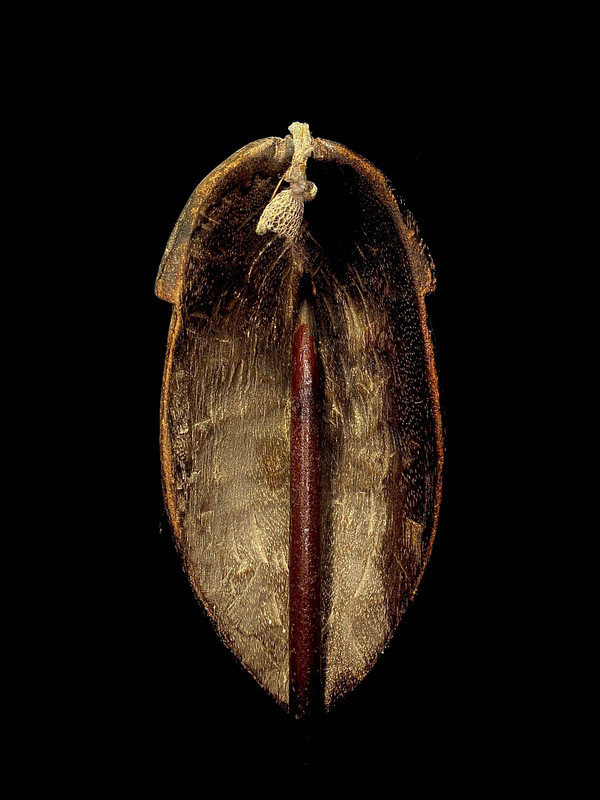 large image 11