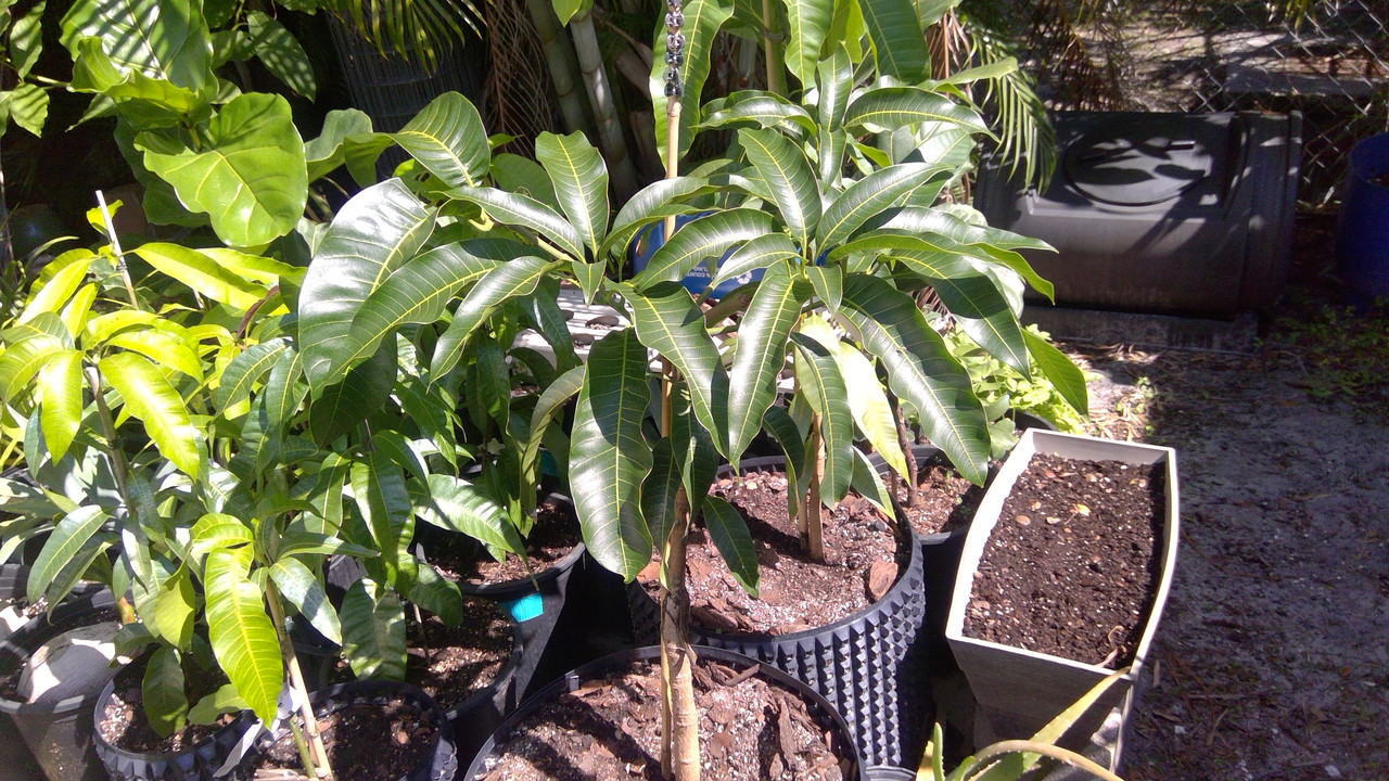 WIN_20200509_10_46_40_Pro