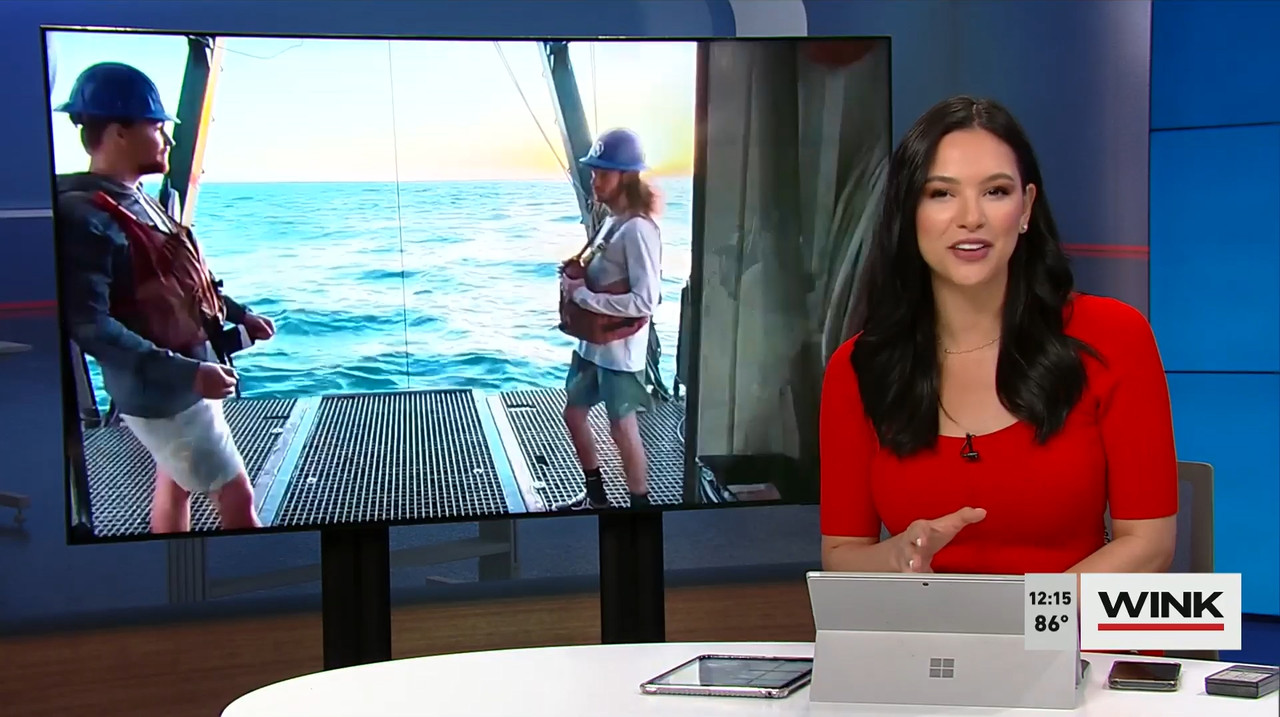 03.27 - 17.00.00 - The Wink Noon News  ᴺᵉʷ. Midday News Update.-1.mp4_snapshot_21.14.700