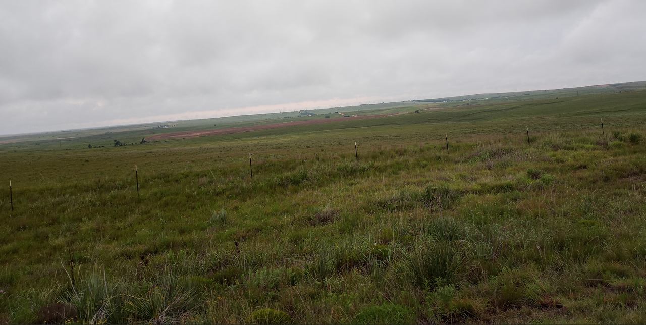 [Image: East-Of-Armarillo-TX6.png]