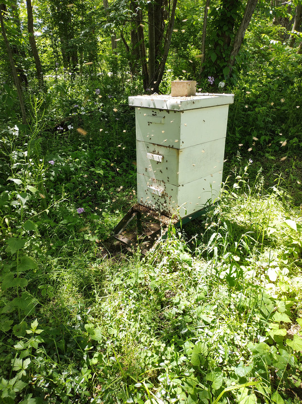 IMG_20210529_142105276_HDR