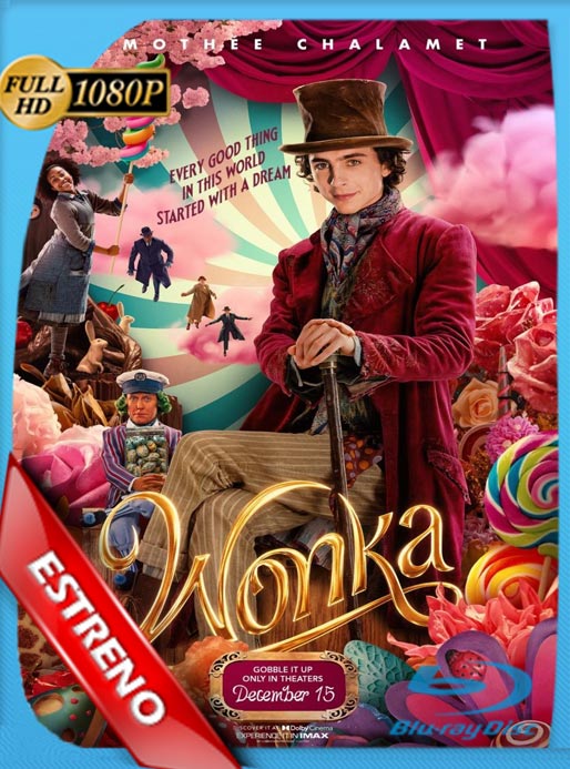 Wonka (2023) WEB-DL HD 1080p Latino [GoogleDrive]