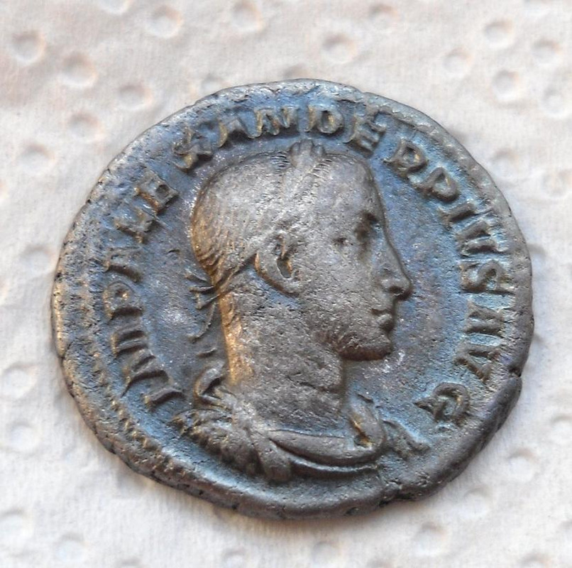 IMP ALEXANDER  PIVS AVG