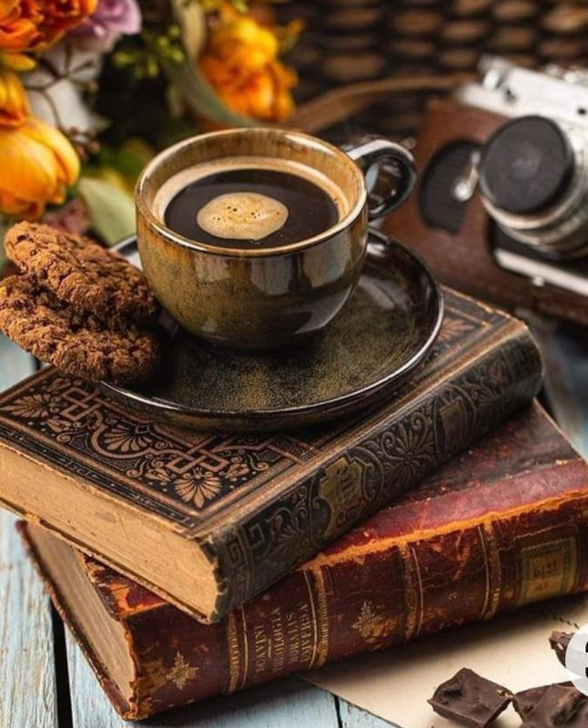 Screenshot_20230211_145457_Chrome