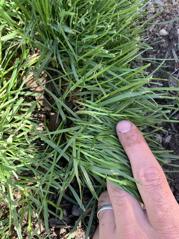 6F643AAF-2761-4A09-9F87-BB00804F1D62