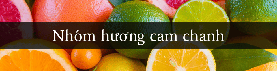 https://i.postimg.cc/dtCg2c0b/nhom-huong-cam-chanh.png