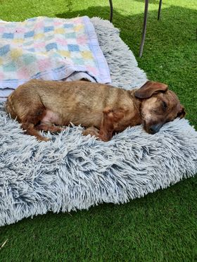 [Image: 422868061-1519334448636096-7677754301789883258-n.jpg]