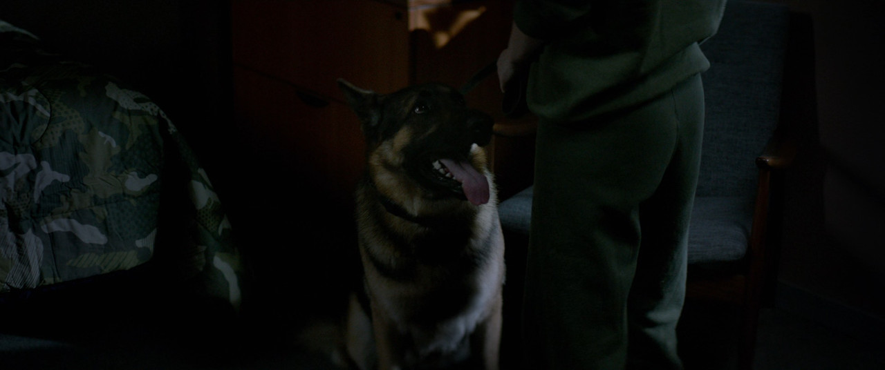 Megan Leavey 2017 (1080p x265 10bit Tigole).mkv_