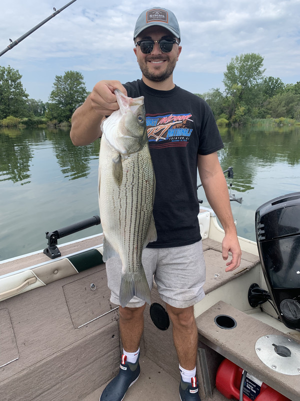 984E33AB-3A0A-456C-9969-16071817F128