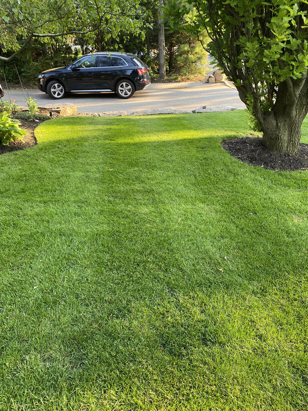 7D3E00DC-2D31-44AF-A3B6-1F507BF53B92