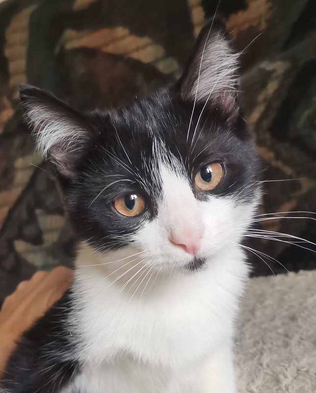 IMG_20241015_115502_edit_1740062543604275