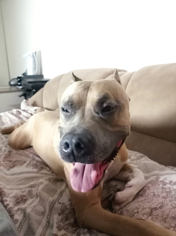 810FE7E2-1909-4378-B2F0-CA33DF0B37F9