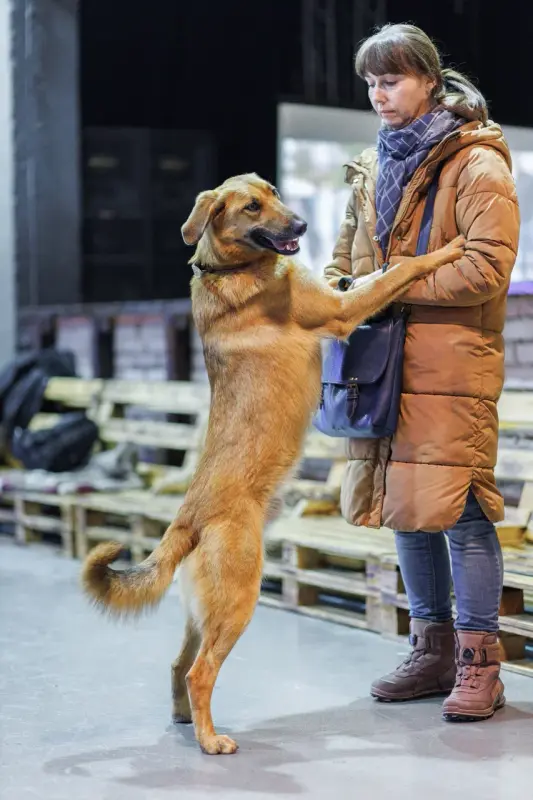 cR0MGqwLFncgHM2wEAcp8WBnCRDHI6ieq50W4v1vE1fiD2FUCTYv1gjOI-Uzv5dOYY8d9JsjOsdG_M70y7A6Cg==?uid=0&filen