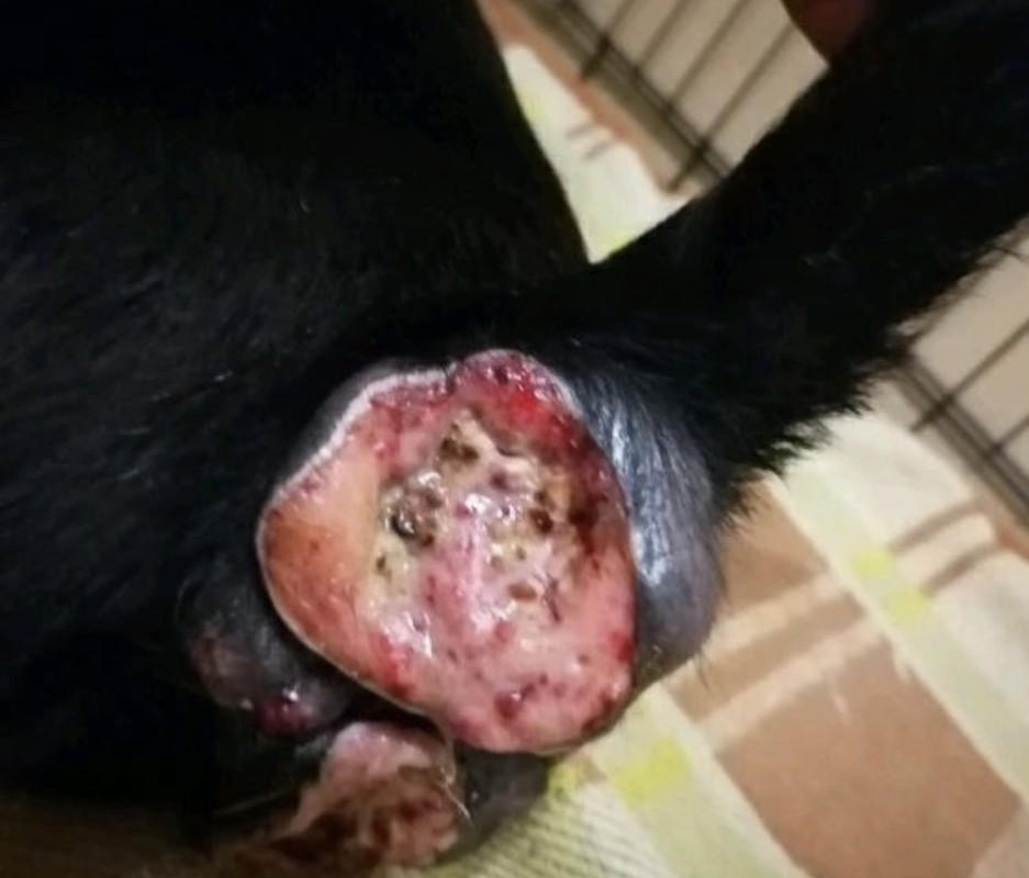 837B421F-7B6A-4DFA-81D8-1FCFBBACA19F