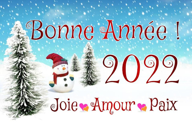 https://i.postimg.cc/dtDdvTK1/Bonne-Ann-e-2022.jpg