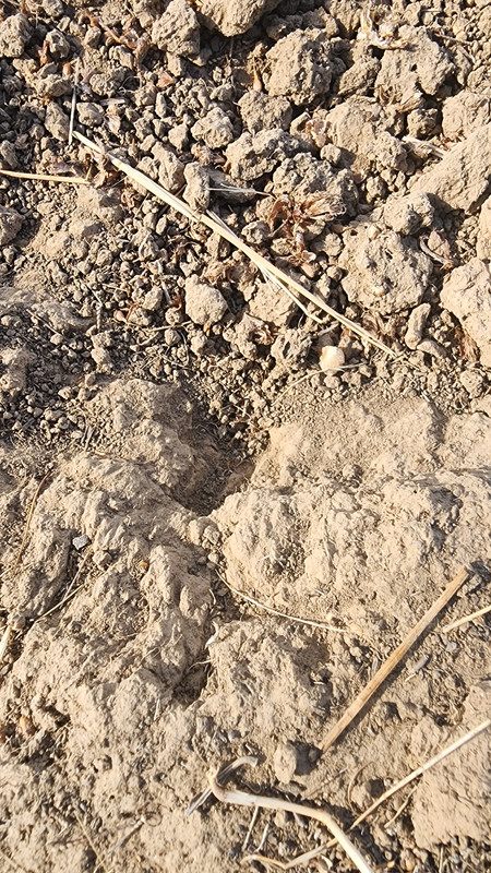 [Image: 20231104-124951.jpg]
