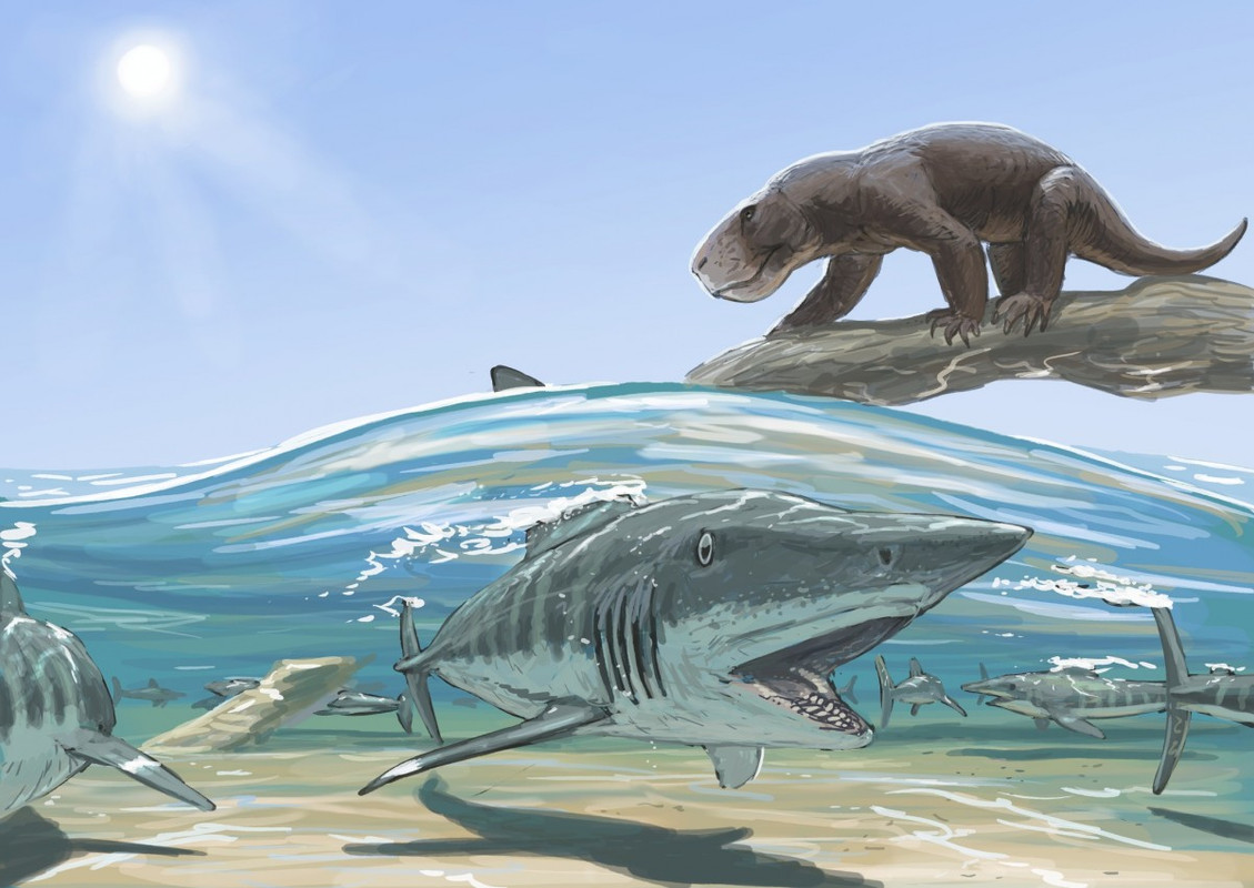 podcast image 001763