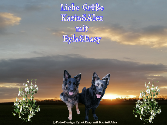 An den Beitrag angehängtes Bild: https://i.postimg.cc/dtDwccSB/GB-Bild-25-02-2022.png