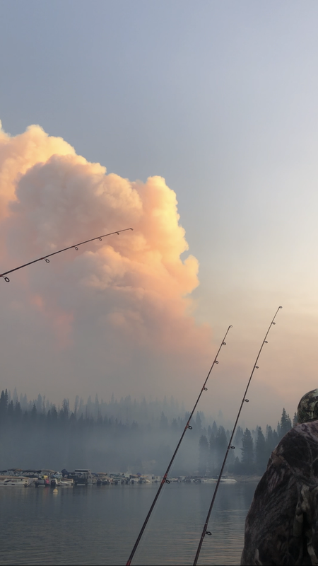 0B2BACC4-B273-4BA3-A27D-B9CD4792219D