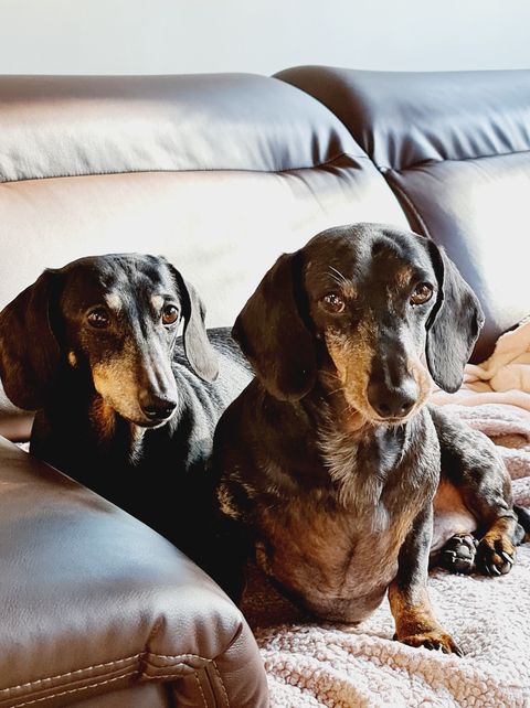 [Image: 150915047-730120374327863-7980873552276027652-n.jpg]