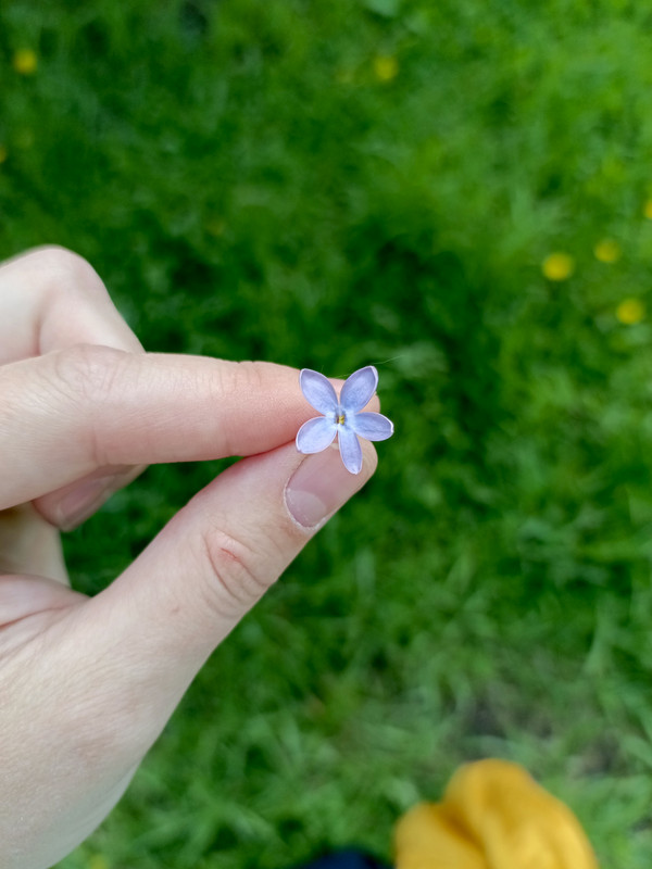 IMG_20240528_132829_102